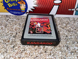 Kangaroo (Atari 2600) Pre-Owned: Game, Manual, and Box