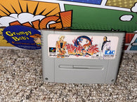 Art of Fighting (SHVC-RW) (Super Famicom) Pre-Owned: Cartridge Only