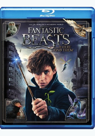 Fantastic Beasts And Where To Find Them (Blu-ray + DVD) Pre-Owned