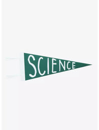 Rick And Morty: Morty's Bedroom Science - Felt Green Pennant Banner 21" x 8.5" (Calhoun) (Adult Swim) NEW