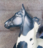 Breyer Reeves / American Saddlebred Stallion Black and White Pinto / Approx. 10 1/2" x 13" / Pre-Owned / No Box / See Pictures