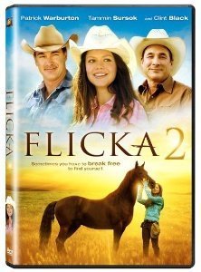 Flicka 2 (DVD) Pre-Owned