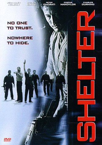 Shelter (DVD) Pre-Owned