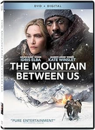 The Mountain Between Us (DVD) Pre-Owned: Disc Only