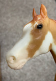 Breyer Molding Co. USA / INDIANA / #701002 / 2002 Spring Show Special Ed. Model / Was Only Available Feb.-July 2002 / Includes COA / See Info in Listing / Approx 8 1/2" x 9 1/2" / Pre-owned / No Box / See Pictures