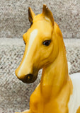 Breyer Molding Co. USA / "A Class Act" Pinto Five-Gaiter Saddlebred Show Special / Approx. 9 1/2" x 11" / Pre-Owned / No Box / See Pictures