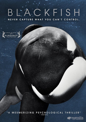 Blackfish (DVD) Pre-Owned