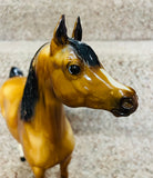 Breyer Molding Co. USA / Glossy Arabian Stallion / Approx. 10"x 11" / Pre-Owned / No Box / See Pictures