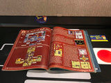 The Legend of Zelda Oracle of Ages & Seasons (Perfect Guide) (Versus Books) Pre-Owned (No Poster) Poor Condition (As Pictured)