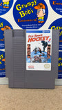 Pro Sports Hockey (Nintendo) Pre-Owned: Cartridge Only (As Pictured)