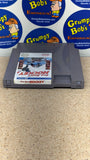 Pro Sports Hockey (Nintendo) Pre-Owned: Cartridge Only (As Pictured)