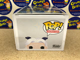 POP! Animation #751: The Dragon Prince - Rayla (Funko POP!) Figure and Box w/ Protector