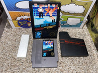 Pro Wrestling (5 Screw/Hang Tab) (Nintendo) Pre-Owned: Game, Dust Cover, Styrofoam, and Box