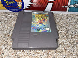 Adventures of Bayou Billy (Nintendo) Pre-Owned: Game, Manual, Insert, Styrofoam, and Box
