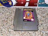 Kings Of The Beach (Nintendo) Pre-Owned: Game, Manual, Dust Cover, Styrofoam, and Box