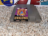 Kings Of The Beach (Nintendo) Pre-Owned: Game, Manual, Dust Cover, Styrofoam, and Box