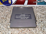 Kings Of The Beach (Nintendo) Pre-Owned: Game, Manual, Dust Cover, Styrofoam, and Box