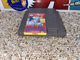 Barker Bill's Trick Shooting (Nintendo) Pre-Owned: Game, Dust Cover, Styrofoam, and Box