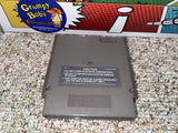 The Simpsons Bart vs the World (Nintendo) Pre-Owned: Game, Manual, Dust Cover, and Box