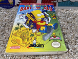 The Simpsons Bart vs the World (Nintendo) Pre-Owned: Game, Manual, Dust Cover, and Box