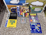 Tetris 2 (Nintendo Game Boy) Pre-Owned: Game, Manual, 3 Inserts, Protective Case, and Box