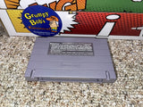 Donkey Kong Country 3: Dixie Kong's Double Trouble (Super Nintendo) Pre-Owned: Game, Manual, 3 Inserts, Tray, and Box