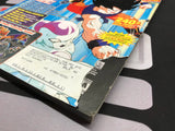 GamePro Magazine: December 2002 / Issue 171 / "Dragon Ball Z: Budokai" Cover (No Stirckers or Poster) (As Pictured) Pre-Owned w/ "Spyro" Cards