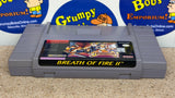 Breath of Fire II (Super Nintendo) Pre-Owned: Cartridge Only (As Pictured)