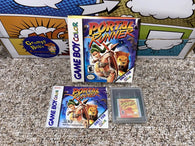 Portal Runner (Game Boy Color) Pre-Owned: Game, Manual, Protective Case, and Box