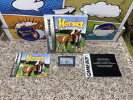 Horsez (Game Boy Advance) Pre-Owned: Game, Manual, Insert, and Box