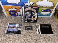 Castlevania Double Pack (Game Boy Advance) Pre-Owned: Game, Manual, Insert, Tray, and Box