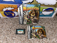 Madagascar (Game Boy Advance) Pre-Owned: Game, Manual, and Box