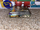 Madagascar (Game Boy Advance) Pre-Owned: Game, Manual, and Box