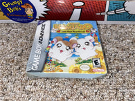 Hamtaro Ham Ham Heartbreak (Game Boy Advance) NEW