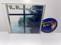 Jason Strain: Five Dimensional Glasses (Music CD) Pre-Owned
