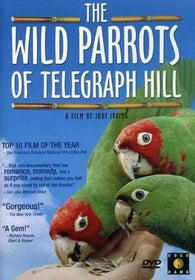 The Wild Parrots of Telegraph Hill (DVD) NEW