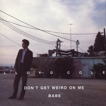 Lloyd Cole: Don't Get Weird on Me (Audio CD) Pre-Owned