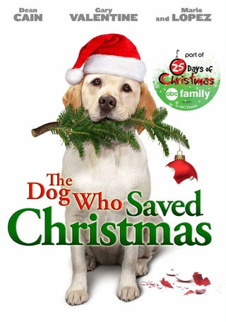 The Dog Who Saved Christmas (DVD) Pre-Owned