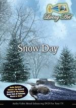 Snow Day (Living Art) (DVD) NEW