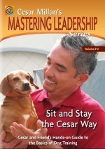 Cesar Millan's Sit and Stay the Cesar Way: Vol. 4 Mastering Leadership Series (DVD) Pre-Owned