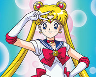 Sailor Moon - 16oz (Just Funky / Toei Animation) (Collectible Mug) NEW