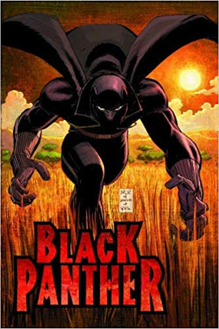 Black Panther Vol. 1: Who Is The Black Panther (Graphic Novel) (Paperback) Pre-Owned
