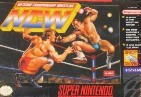 Natsume Championship Wrestling (Super Nintendo / SNES) Pre-Owned: Cartridge Only