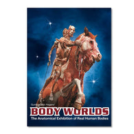 Body Worlds The Anatomical Exhibition of Real Human Bodies (DVD) Pre-Owned