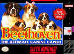 Beethoven (Super Nintendo / SNES) Pre-Owned: Cartridge Only