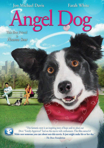 Angel Dog (DVD) Pre-Owned
