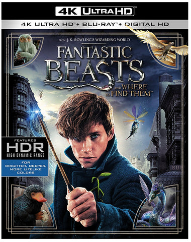 Fantastic Beasts and Where to Find Them (Blu Ray Only) Pre-Owned: Disc and Case