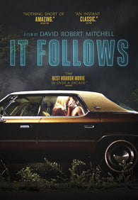 It Follows (2014) (DVD / New Release) Pre-Owned: Disc(s) and Case