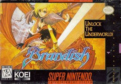 Brandish (Super Nintendo) Pre-Owned: Cartridge Only